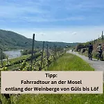 Modern - Fuer Freunde & Familien, Stadtnah, Parkplatz, E-ladestation, Gitterbox Fuer Fahrraeder, Fitnessstudio, Digitale Gaestemappe Mit Restaurant- Und Unternehmenstipps شقة كوبلنس